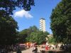 Der Müggelturm soll wieder attraktiv werden für viele Besucher.